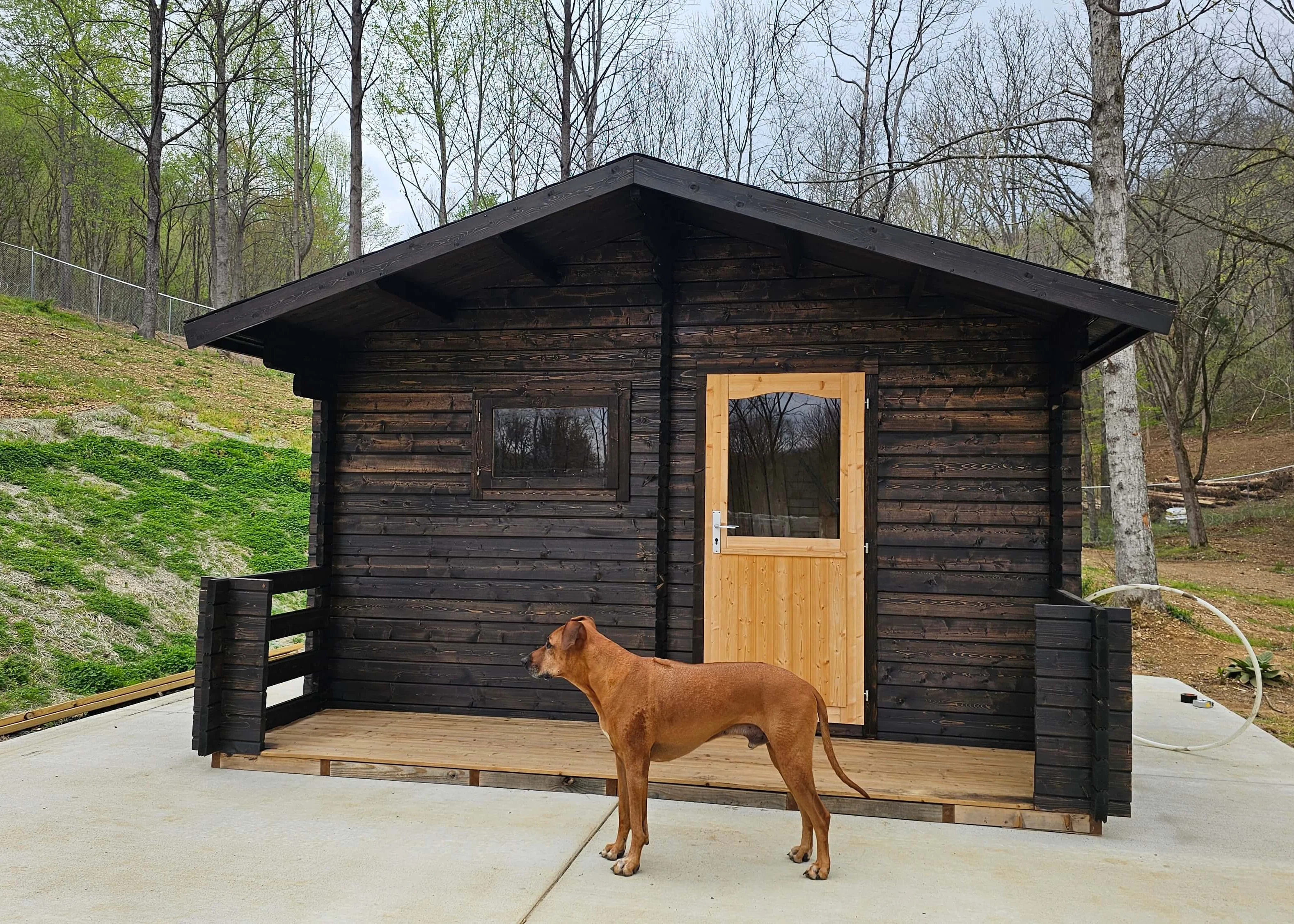 Appalachia 6 Person Cabin Sauna - Image 7